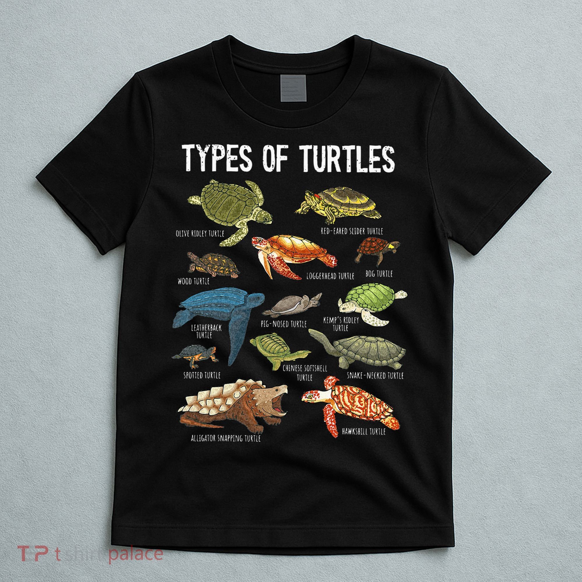 Turtle Turtle Spirit Animal Turtle Lover T-Shirt