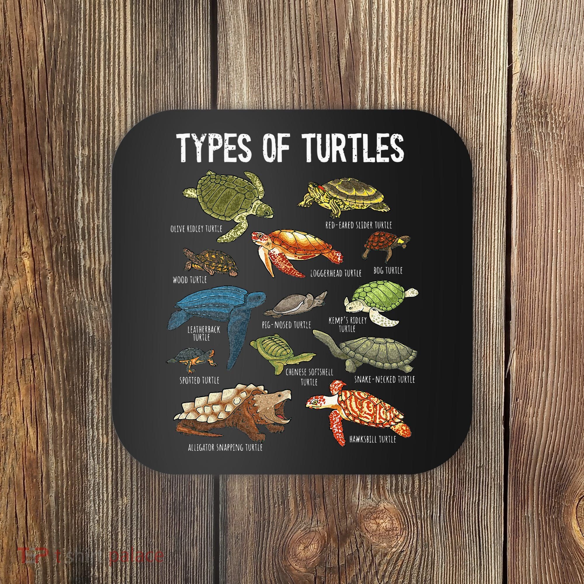 Turtle Turtle Spirit Animal Turtle Lover Coaster