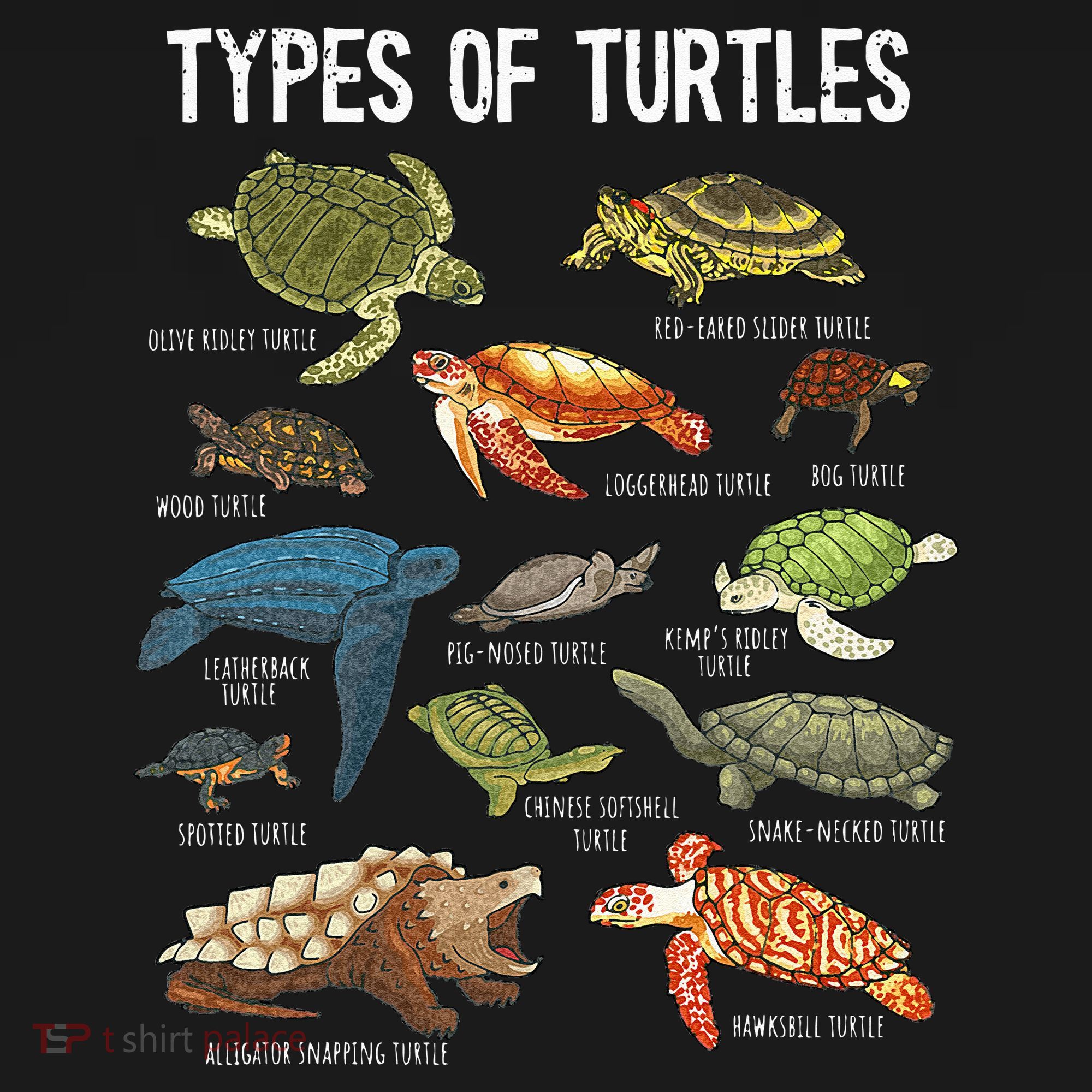 Turtle Turtle Spirit Animal Turtle Lover Tall Long Sleeve Shirt