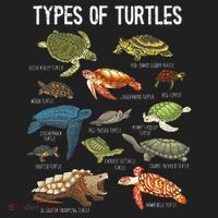 Turtle Turtle Spirit Animal Turtle Lover Golf Towel thumb 3