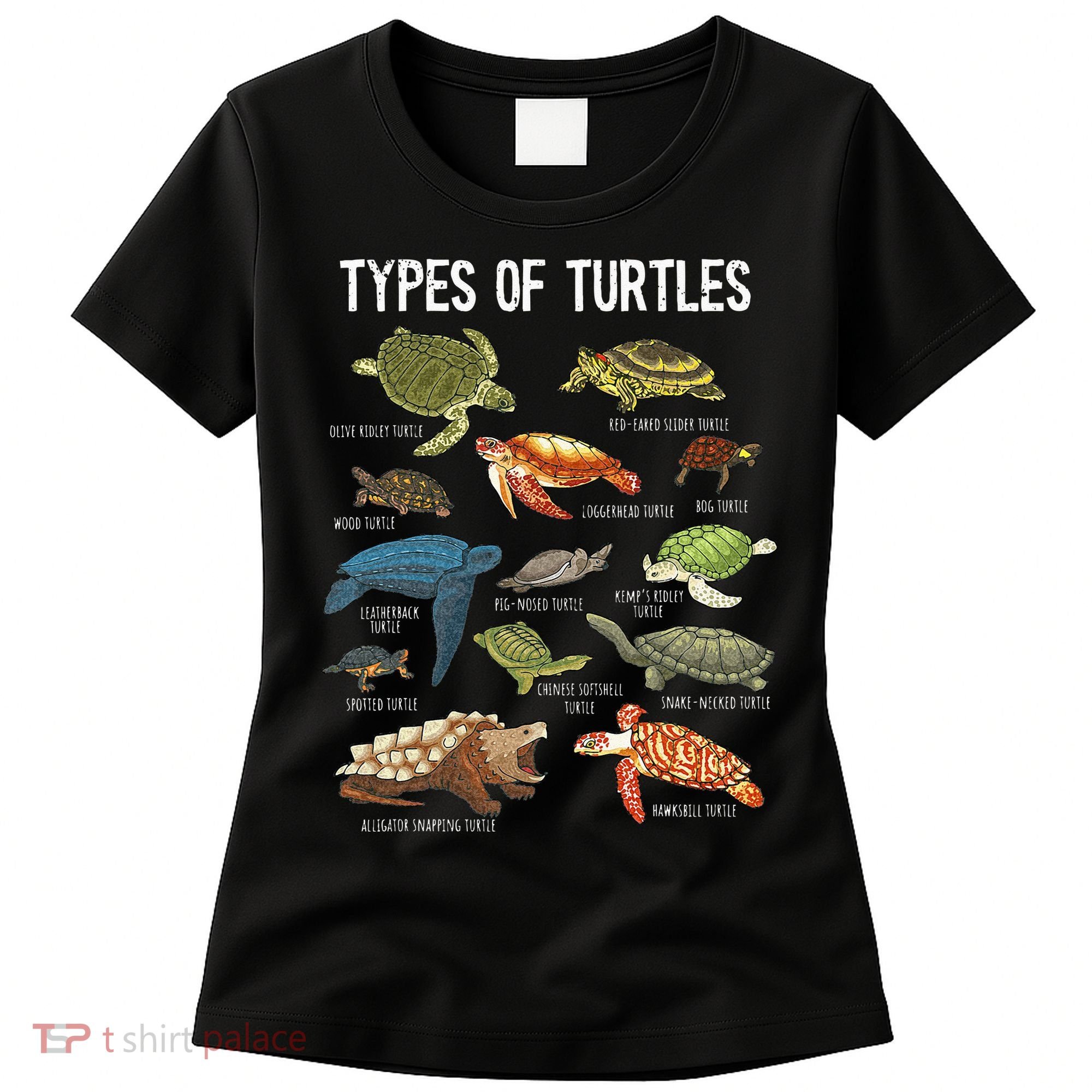 Turtle Turtle Spirit Animal Turtle Lover Women's T-Shirt