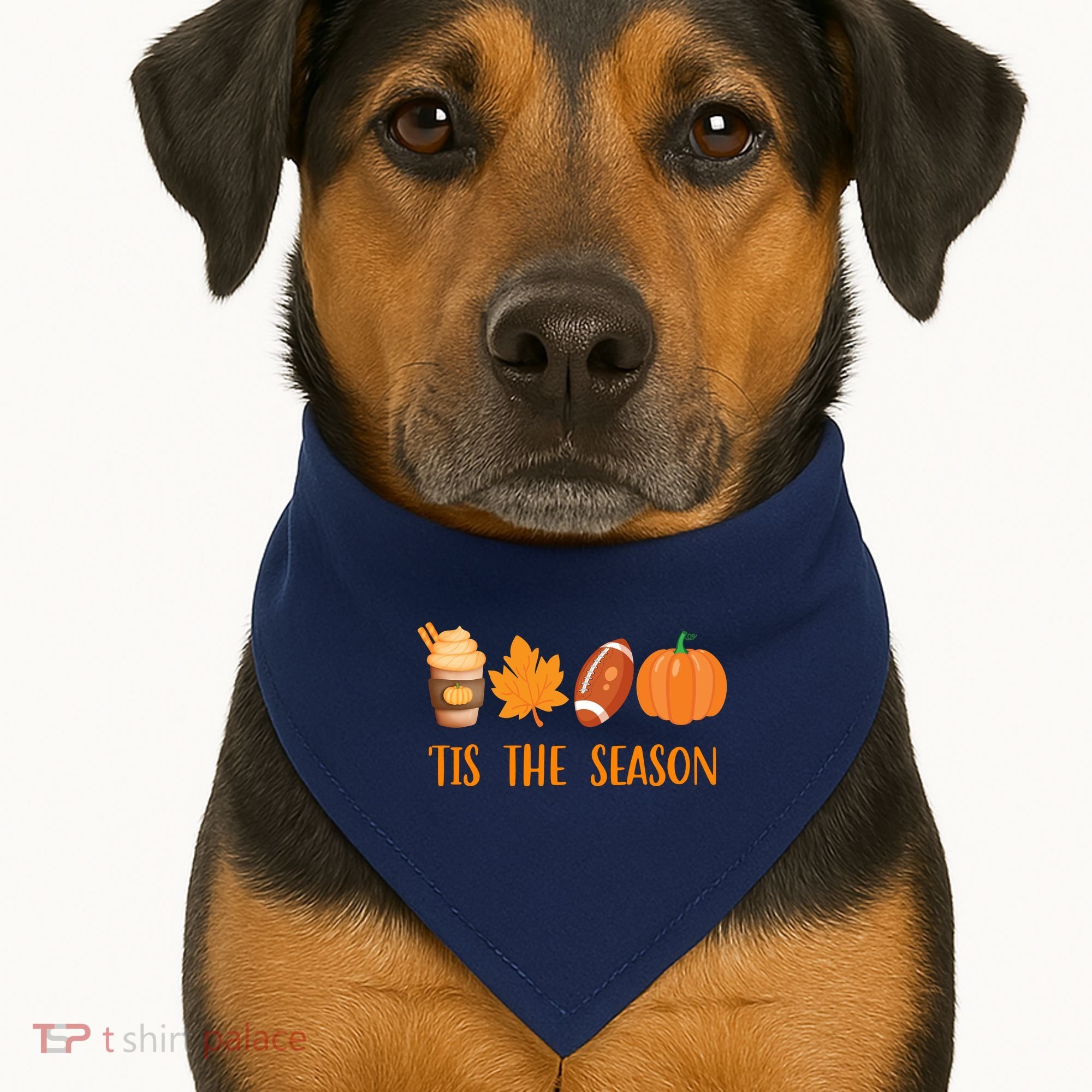 Tis The Season Festive Fall Lover USA-Made Doggie Bandana
