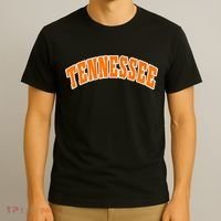 Tennessee TN Souvenir Football Baseball Sport Fans T-Shirt thumb 3
