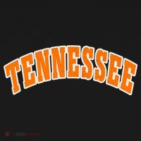 Tennessee TN Souvenir Football Baseball Sport Fans T-Shirt thumb 7