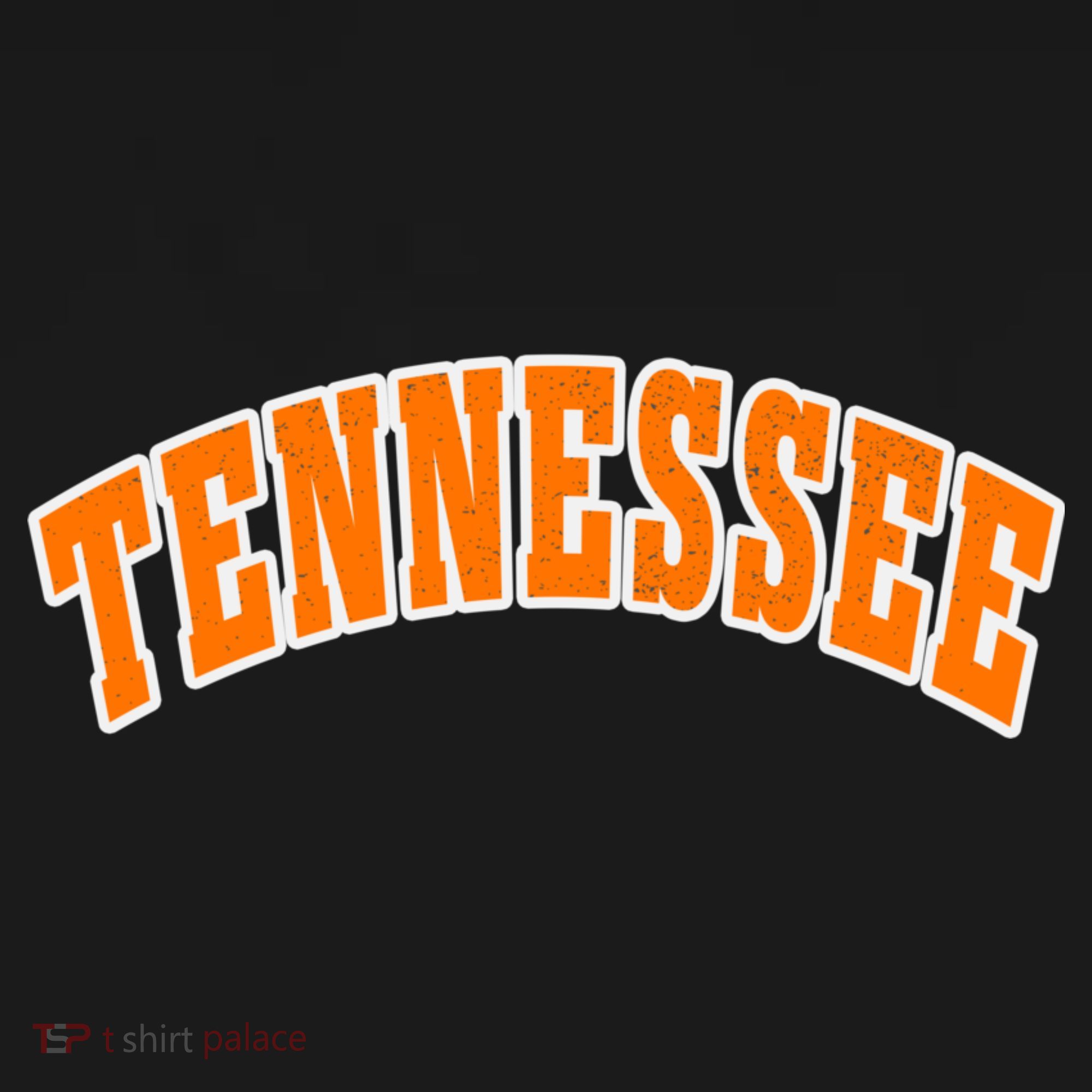 Tennessee TN Souvenir Football Baseball Sport Fans T-Shirt