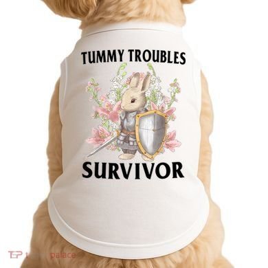 Tummy Troubles Survivor Funny Sarcastic Ibs Humor Statement Doggie Tank