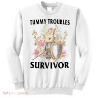 Tummy Troubles Survivor Funny Sarcastic Ibs Humor Statement Sweatshirt thumb 0