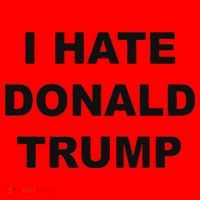Top That Says I Hate Donald Trump Anti Trump Sucks Santa Hat thumb 1