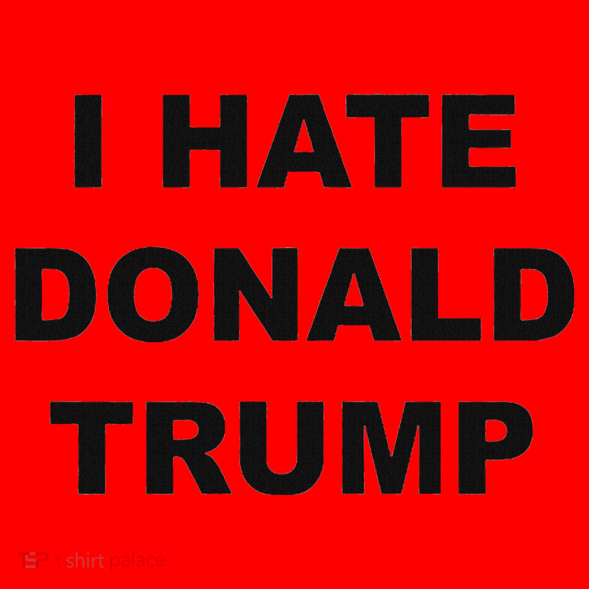 Top That Says I Hate Donald Trump Anti Trump Sucks Santa Hat