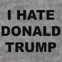 Top That Says I Hate Donald Trump Anti Trump Sucks Toddler Hoodie thumb 2