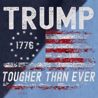Trump Tougher Than Ever President Donald Trump Us Flag Premium Raglan Baseball Sleeve Shirt thumb 2