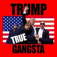 Trump The True Gangster Survived Association Santa Hat thumb 1