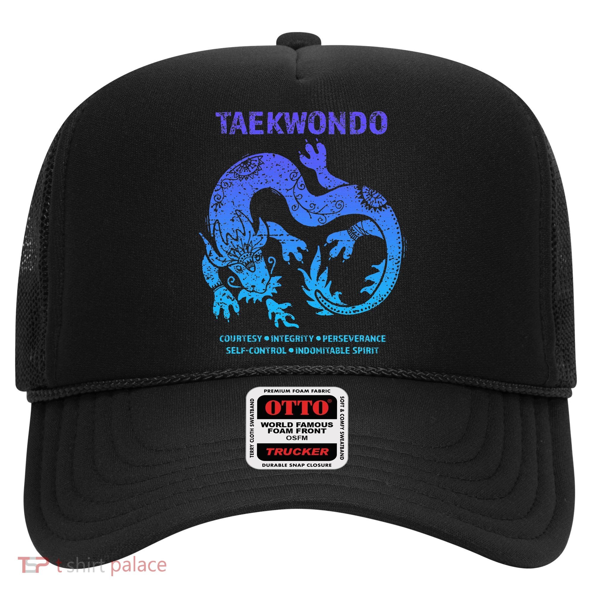 Taekwondo Tkd Tae Kwon Do Dragon Art Martial Arts Graphic Hat