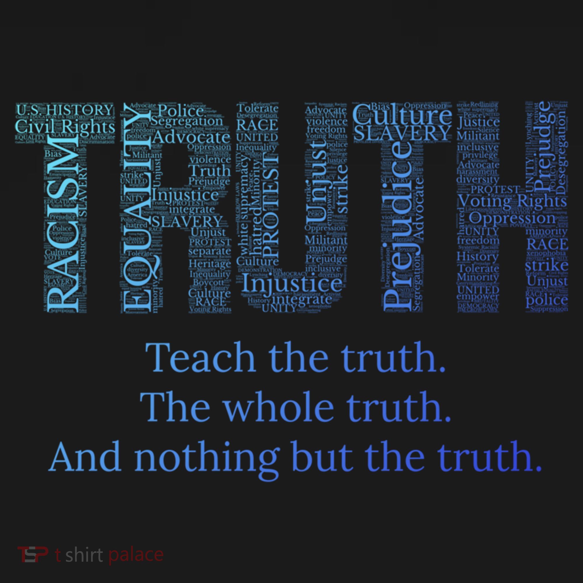 Teach The Truth The Whole Truth And Nothing But The Truth Cool Gift Women's Hoodie
