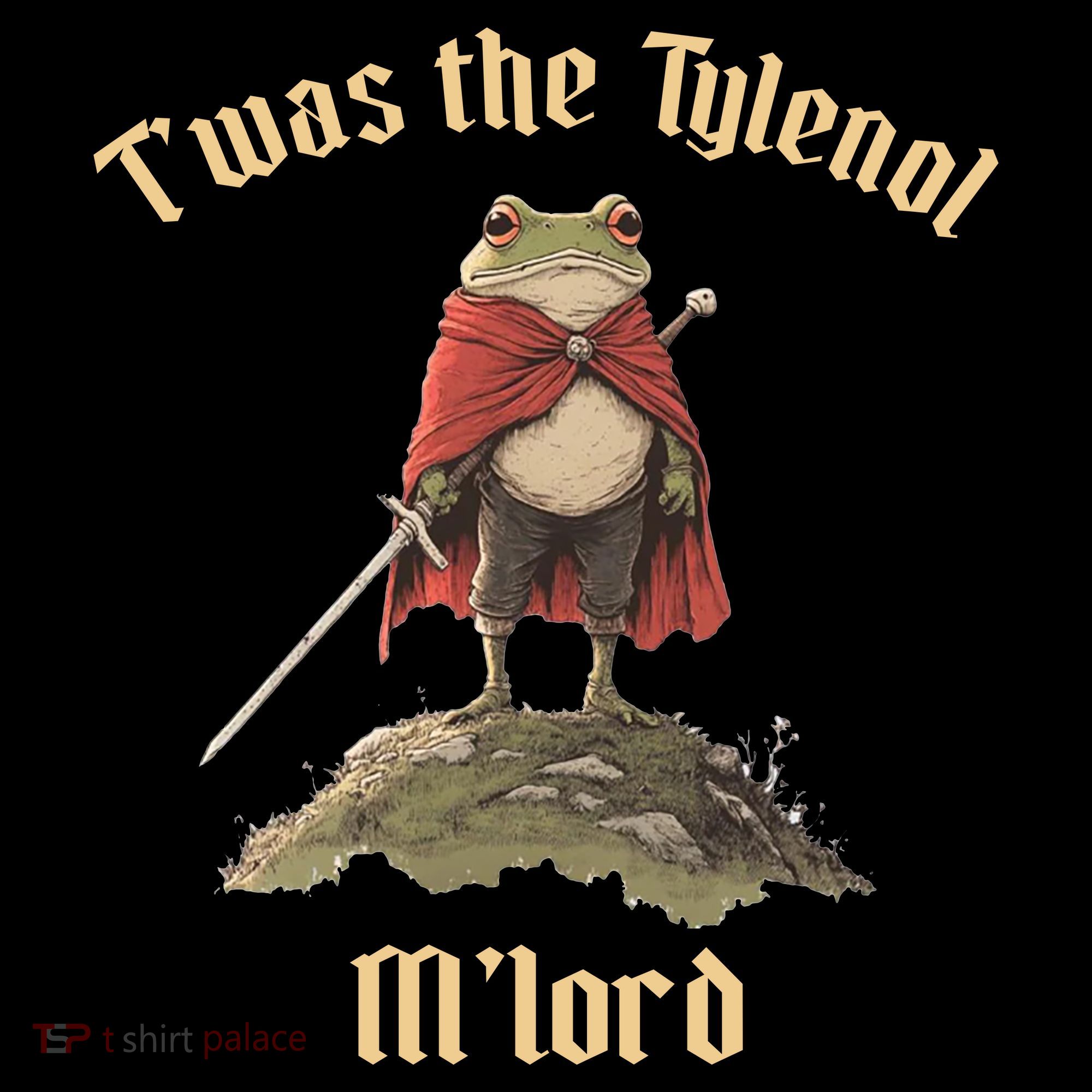 Twas The Tylenol M'lord Kids T-Shirt