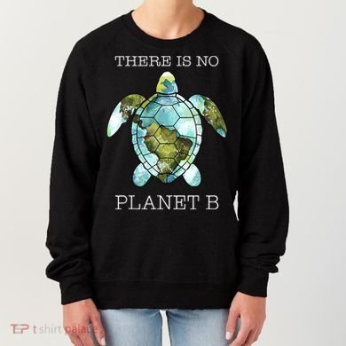 The Turtle There Is No Planet B Earth Day 2024 Women's Sweatshirt
