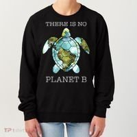 The Turtle There Is No Planet B Earth Day 2024 Women's Sweatshirt thumb 0