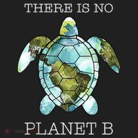 The Turtle There Is No Planet B Earth Day 2024 Hat thumb 2