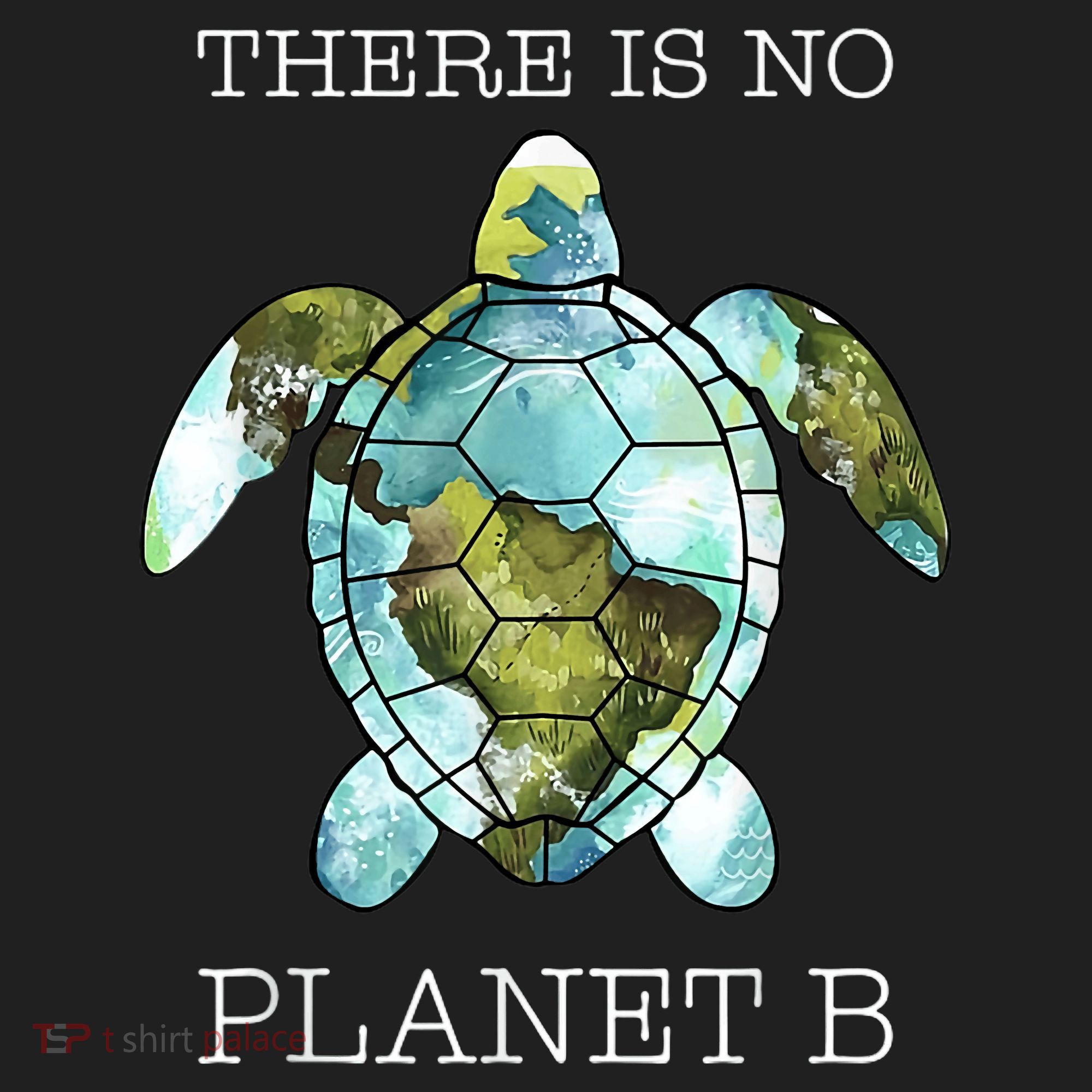 The Turtle There Is No Planet B Earth Day 2024 Hat