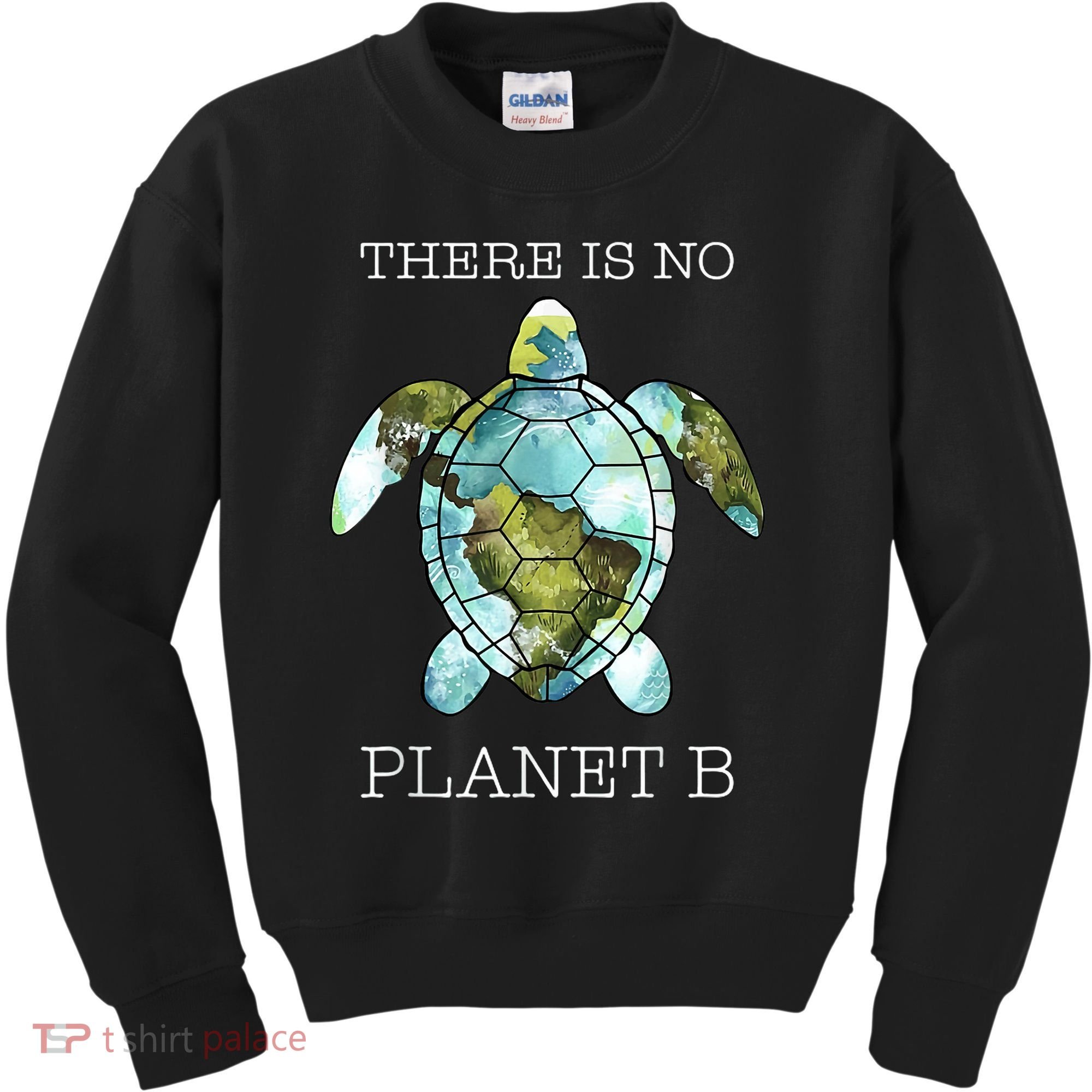 The Turtle There Is No Planet B Earth Day 2024 Kids Sweatshirt