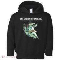 Taekwondo Taekwondosaurus Tae Kwon Do Dinosaur Dino Toddler Hoodie thumb 0