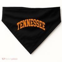 Tennessee Tn Throwback USA-Made Doggie Bandana thumb 0