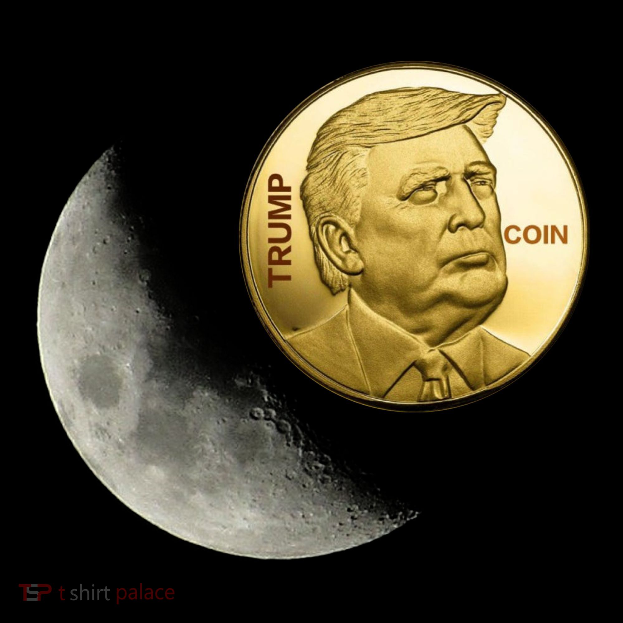 $Trump To The Moon Ornament