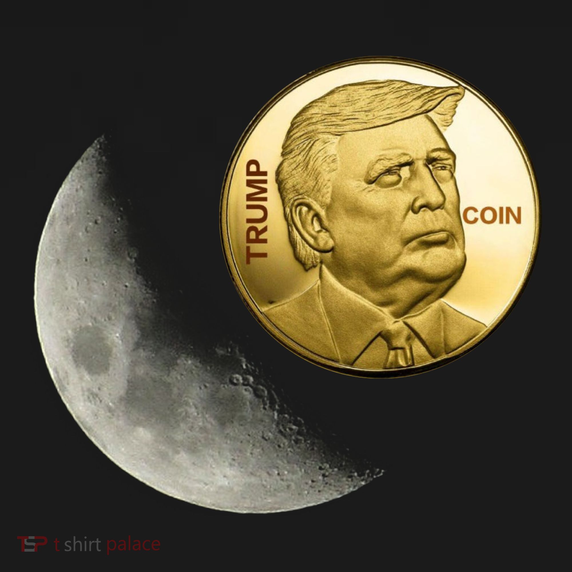 $Trump To The Moon Kids Hoodie