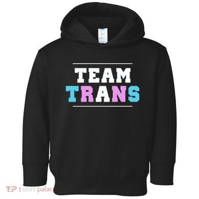 Team Trans Toddler Hoodie