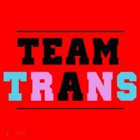 Team Trans Santa Hat thumb 1