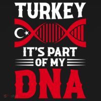 TüRkiye Turkey Turkiye Turkish Flag Funny Gift Ornament thumb 1