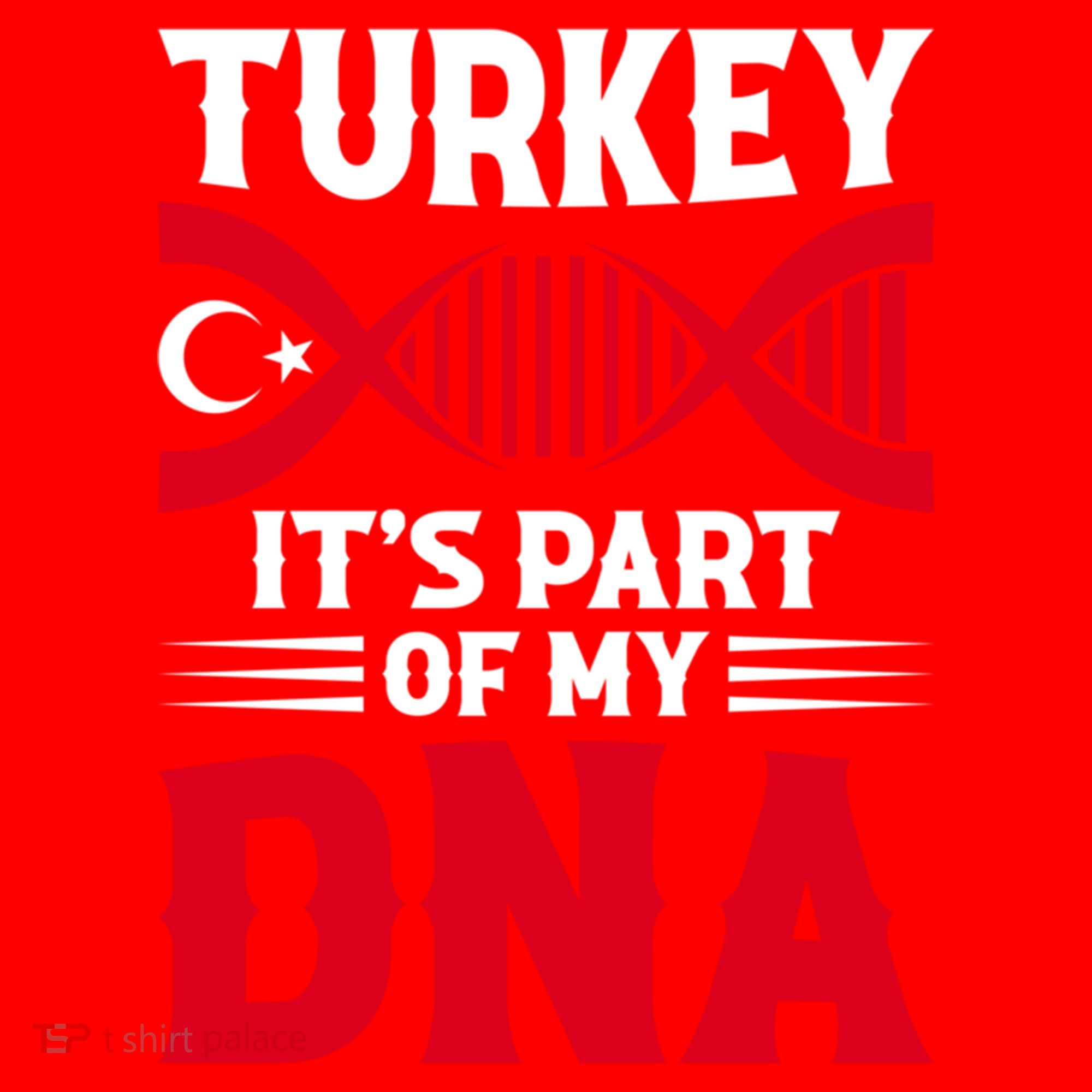 TüRkiye Turkey Turkiye Turkish Flag Funny Gift Santa Hat