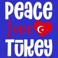 TüRkiye Turkey Turkiye Turkish Flag Meaningful Gift Sweatshirt thumb 3
