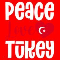 TüRkiye Turkey Turkiye Turkish Flag Meaningful Gift Santa Hat thumb 1