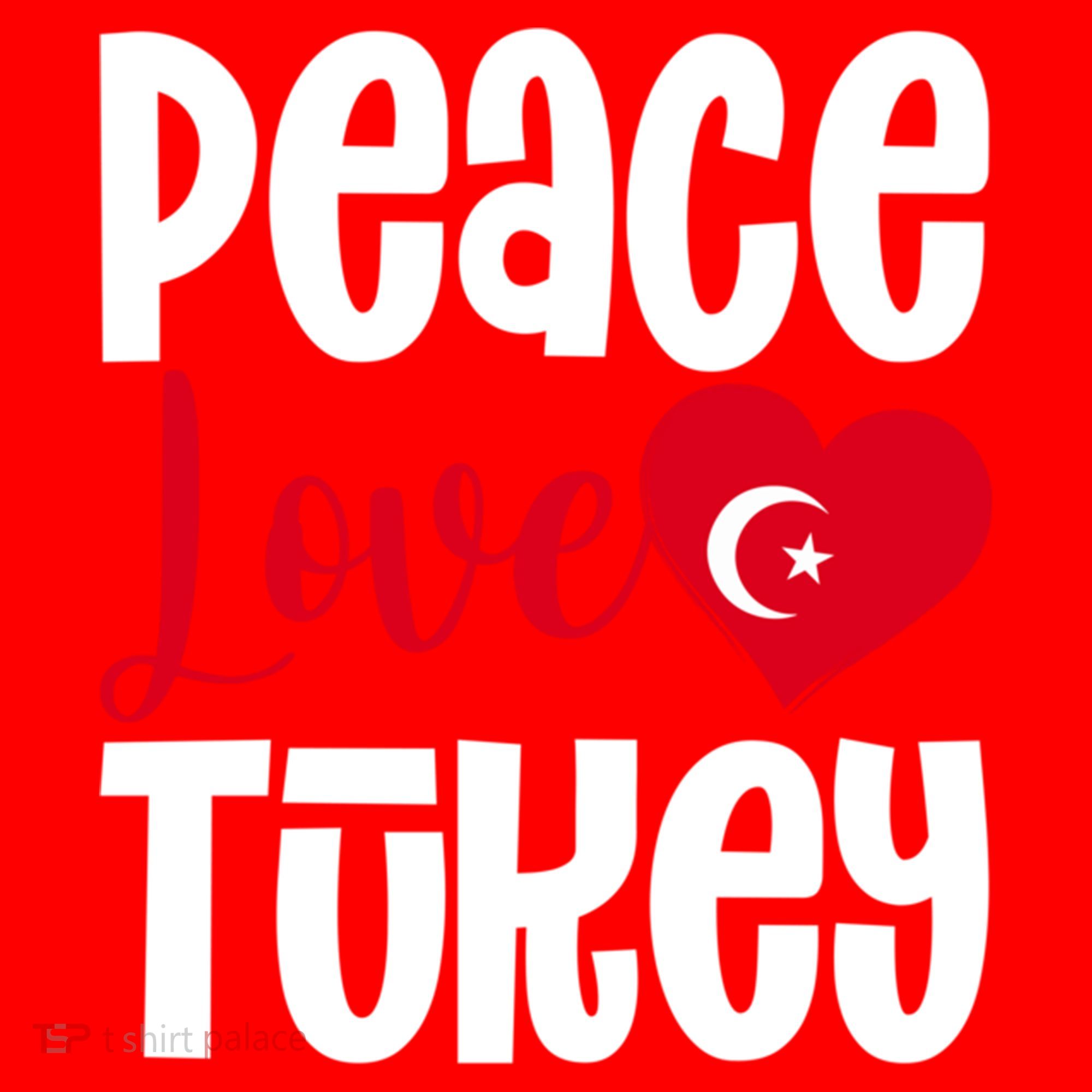 TüRkiye Turkey Turkiye Turkish Flag Meaningful Gift Santa Hat