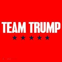 TEAM TRUMP Hoodie thumb 7