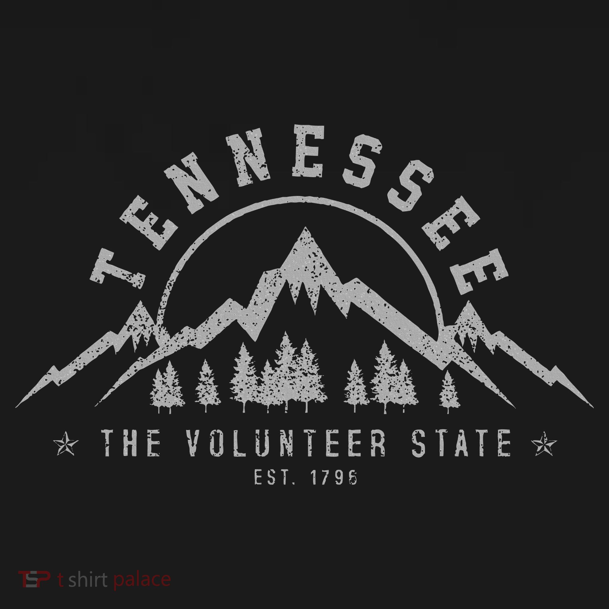 Tennessee The Volunteer State Est. 1796 Nashville Gift Women's Long Sleeve Shirt