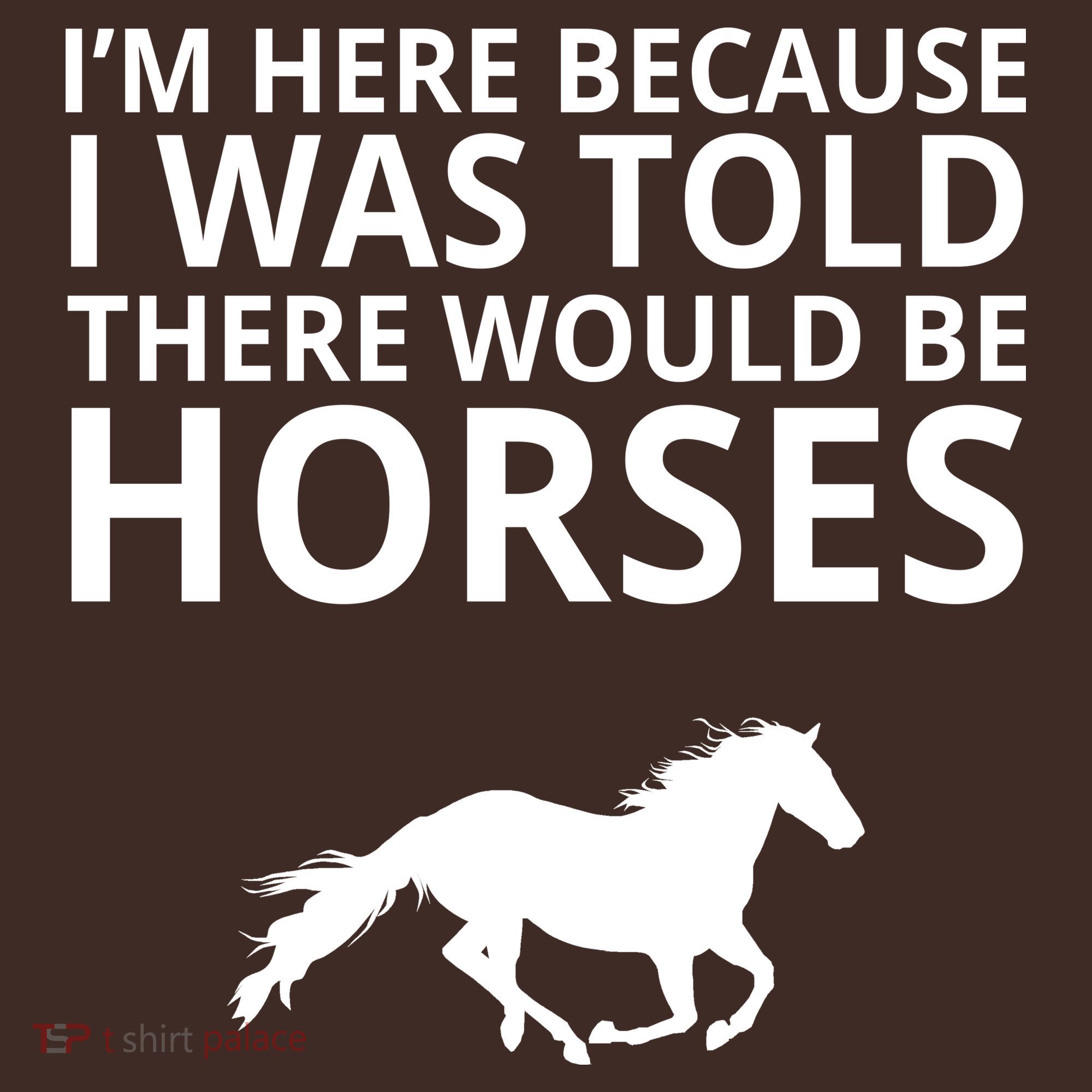 Told There Would Be Horses Coaster