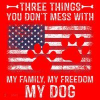 Three Things You Dont Mess With My Family Freedom My Dog Santa Hat thumb 1