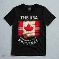 The Usa Canada’S 11th Province Funny Canada Flag Funny Leaf T-Shirt thumb 5