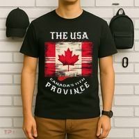 The Usa Canada’S 11th Province Funny Canada Flag Funny Leaf T-Shirt thumb 6