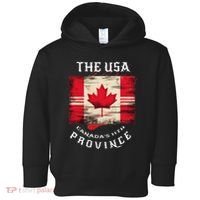 The Usa Canada’S 11th Province Funny Canada Flag Funny Leaf Toddler Hoodie thumb 0