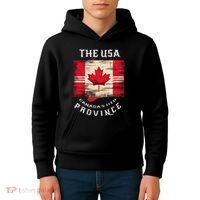 The Usa Canada’S 11th Province Funny Canada Flag Funny Leaf Kids Hoodie thumb 4