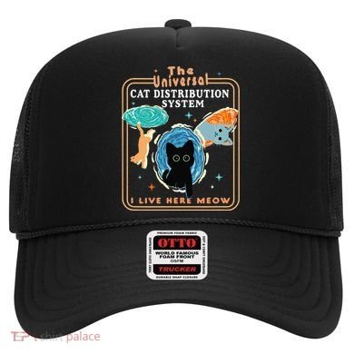 The Universal Cat Distribution System Funny LoverCat Gift Hat