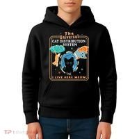 The Universal Cat Distribution System Funny LoverCat Gift Kids Hoodie thumb 4
