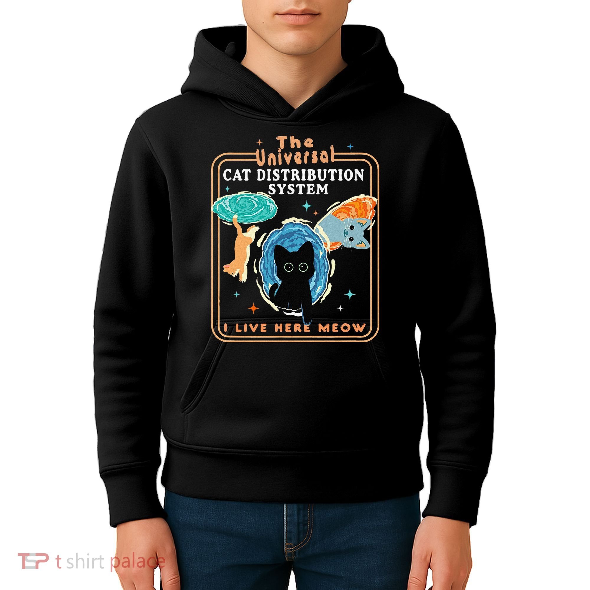 The Universal Cat Distribution System Funny LoverCat Gift Kids Hoodie