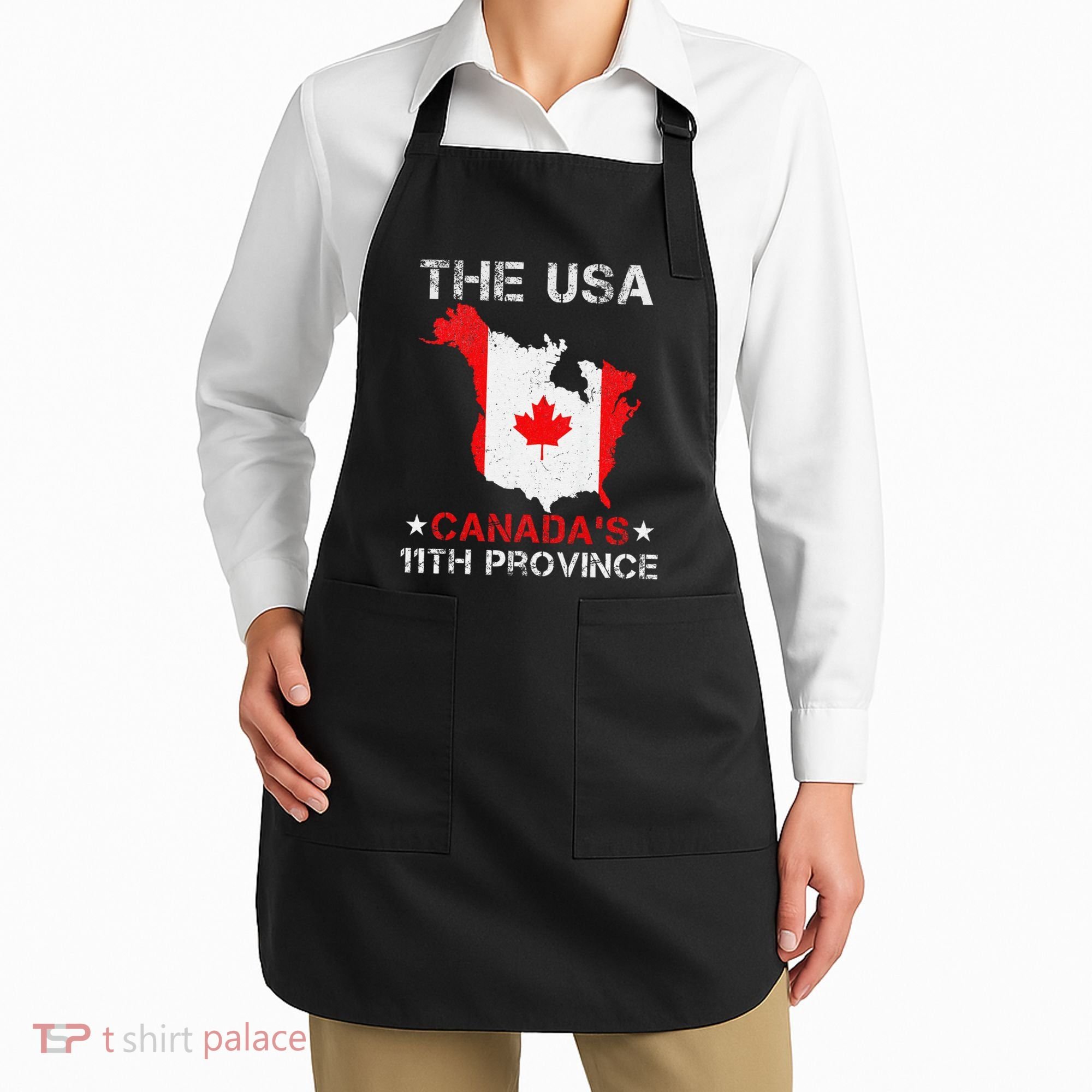 The Usa Canada’S 11th Province Funny Apron