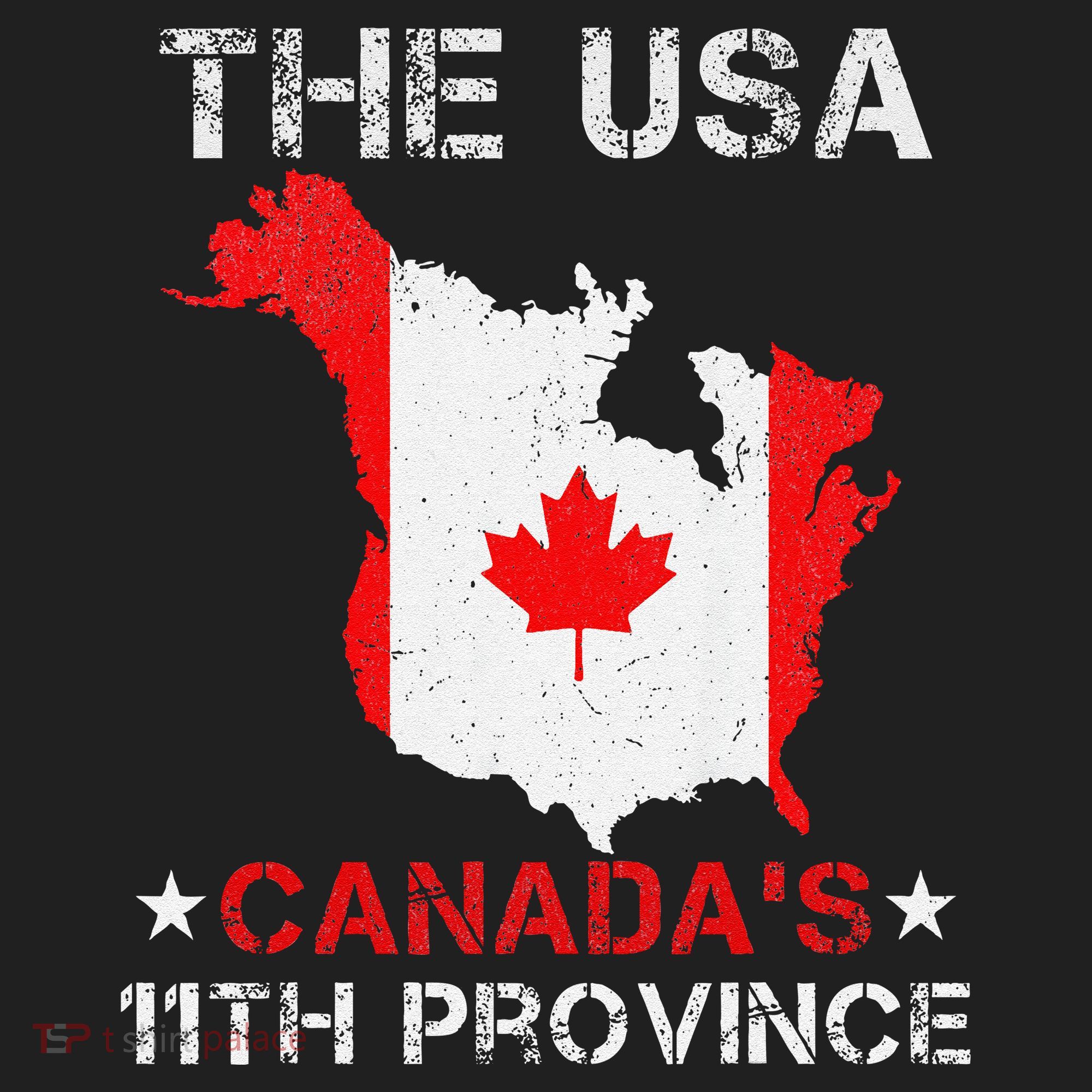 The Usa Canada’S 11th Province Funny Beanie
