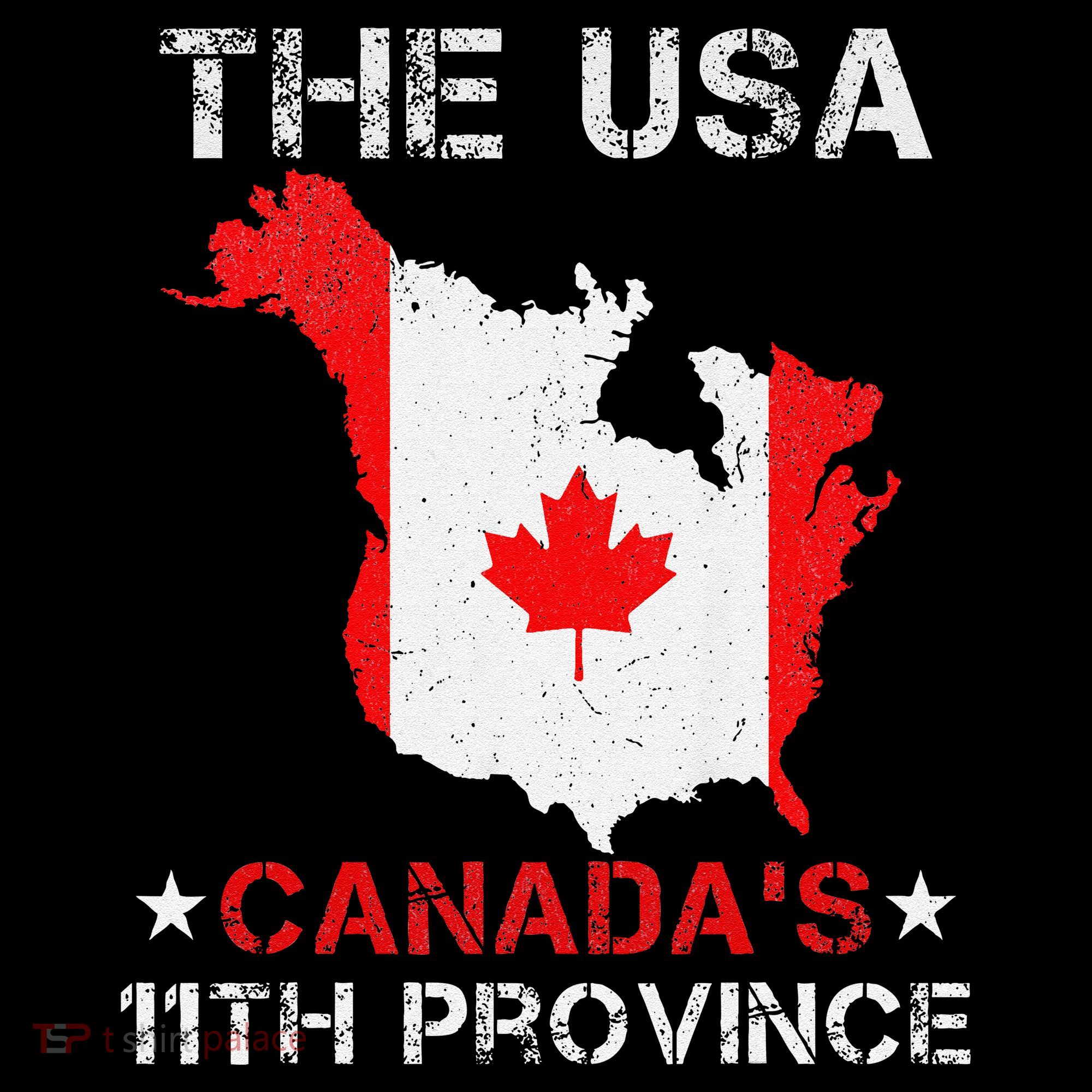 The Usa Canada’S 11th Province Funny Women's Hoodie