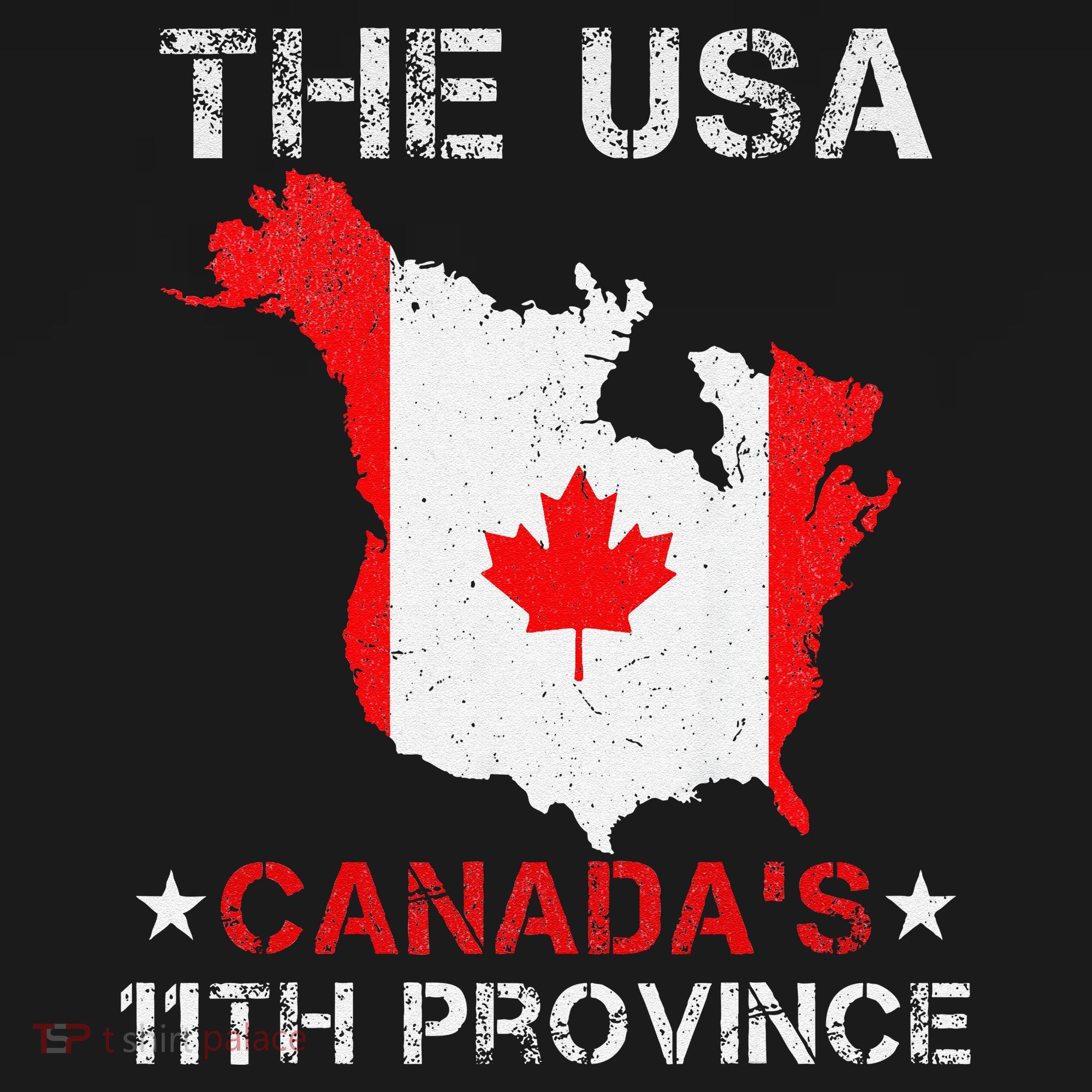 The Usa Canada’S 11th Province Funny Women's Tank Top